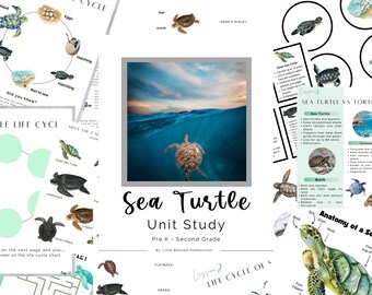 Sea Turtle Homeschool Unit Study: PreK-2nd Grade (PDF Download)