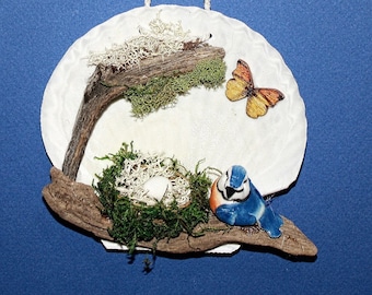 Butterfly and Bird With Nest  Perching on a Seashell