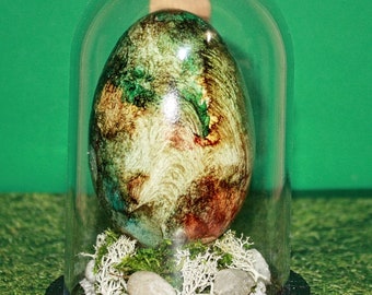 Goose Egg:  Egg Art In Glass Dome Display  Easter Egg Collectable Egg