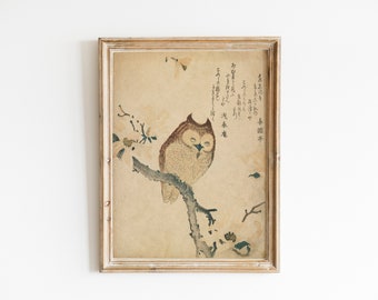 japanese art print Horned Owl on Flowering Branch during 19th century print by Kubota Shunman.