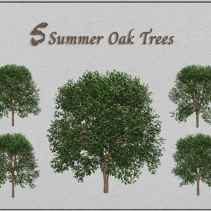 Seasonal Trees, Tree Clipart, Tree Pack, Oak Tree, Tree Images, Trees ...