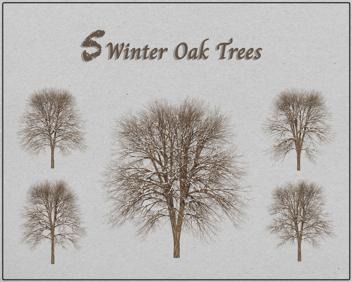 Seasonal Trees, Tree Clipart, Tree Pack, Oak Tree, Tree Images, Trees ...