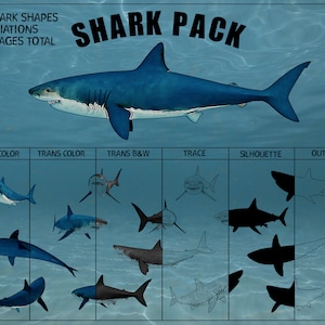 Shark Pack clipart, Shark clipart, Sharks, Shark Silhouette, Cartoon Shark, Water Creatures, Sea Creatures, Shark Drawings, Shark Images