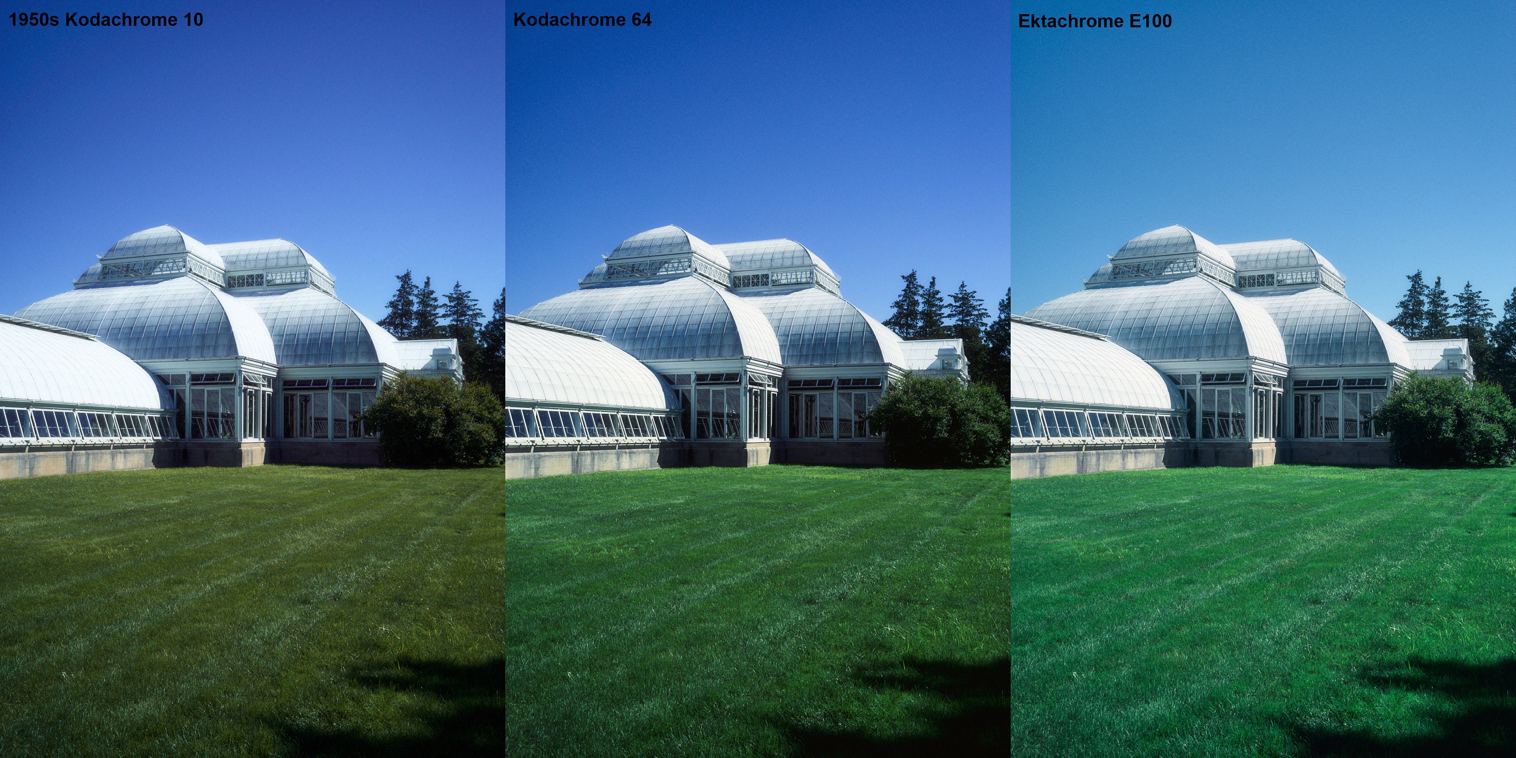 Ektachrome Vs Kodachrome Ektachrome Vs Kodachrome