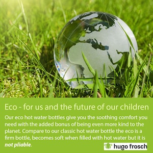 May include: A glass globe representing the Earth sits in a bed of green grass. The text "Eco - for us and the future of our children" is displayed above the globe. The text "hugo frosch" is displayed below the globe.
