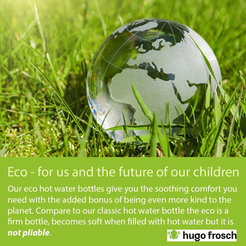 May include: A glass globe representing the Earth sits in a bed of green grass. The text "Eco - for us and the future of our children" is displayed above the globe. The text "hugo frosch" is displayed below the globe.