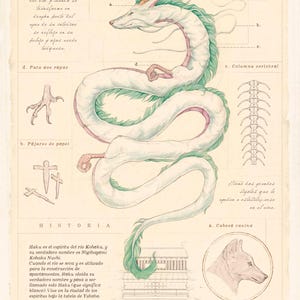 May include: An illustrated diagram of a dragon named Haku, with text in Spanish. The dragon is white with green and pink accents. The diagram includes labeled sections such as "Curiosities" and "History", and a color palette.
