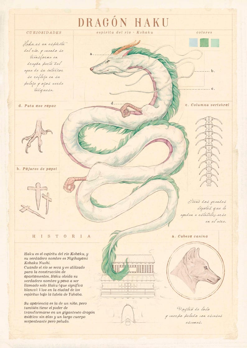 May include: An illustrated diagram of a dragon named Haku, with text in Spanish. The dragon is white with green and pink accents. The diagram includes labeled sections such as "Curiosities" and "History", and a color palette.