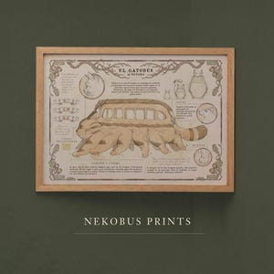 GATOBÚS - NEKOBUS