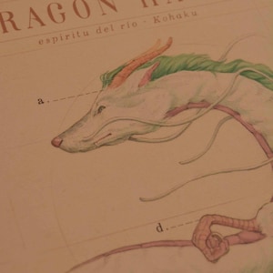 May include: Illustration of a white dragon with green and orange accents, labeled "RAG&Oacute;N HAKU" and "espiritu del rio - Kohaku". The dragon's head is in profile, with a detailed drawing style.