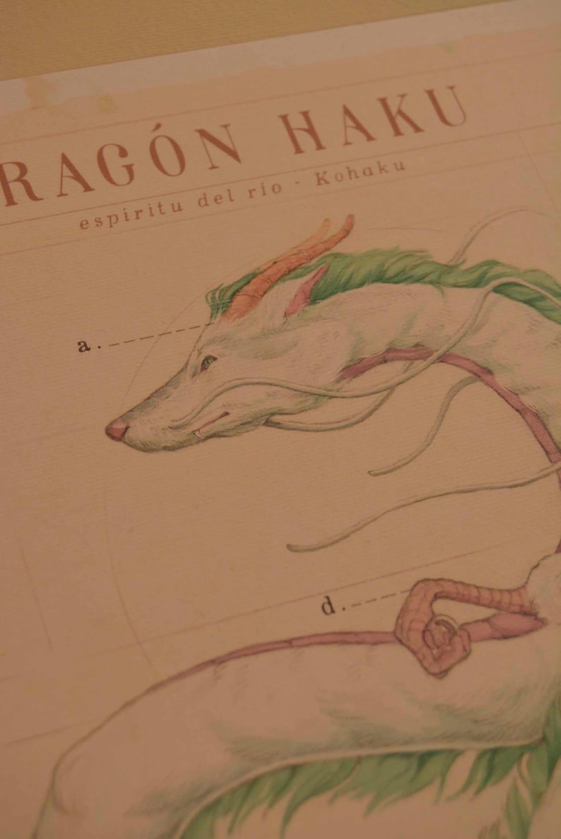 May include: Illustration of a white dragon with green and orange accents, labeled "RAG&Oacute;N HAKU" and "espiritu del rio - Kohaku". The dragon's head is in profile, with a detailed drawing style.