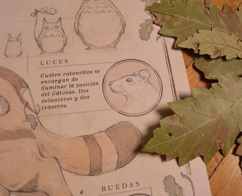 May include: A close-up of a page from a children's book about a fictional creature called the "Gatob&uacute;s". The page features illustrations of the creature, a mouse, and text that reads "LUCES Cuatro ratoncitos se encargan de iluminar la posici&oacute;n del Gatob&uacute;s. Dos delanteros y dos traseros."