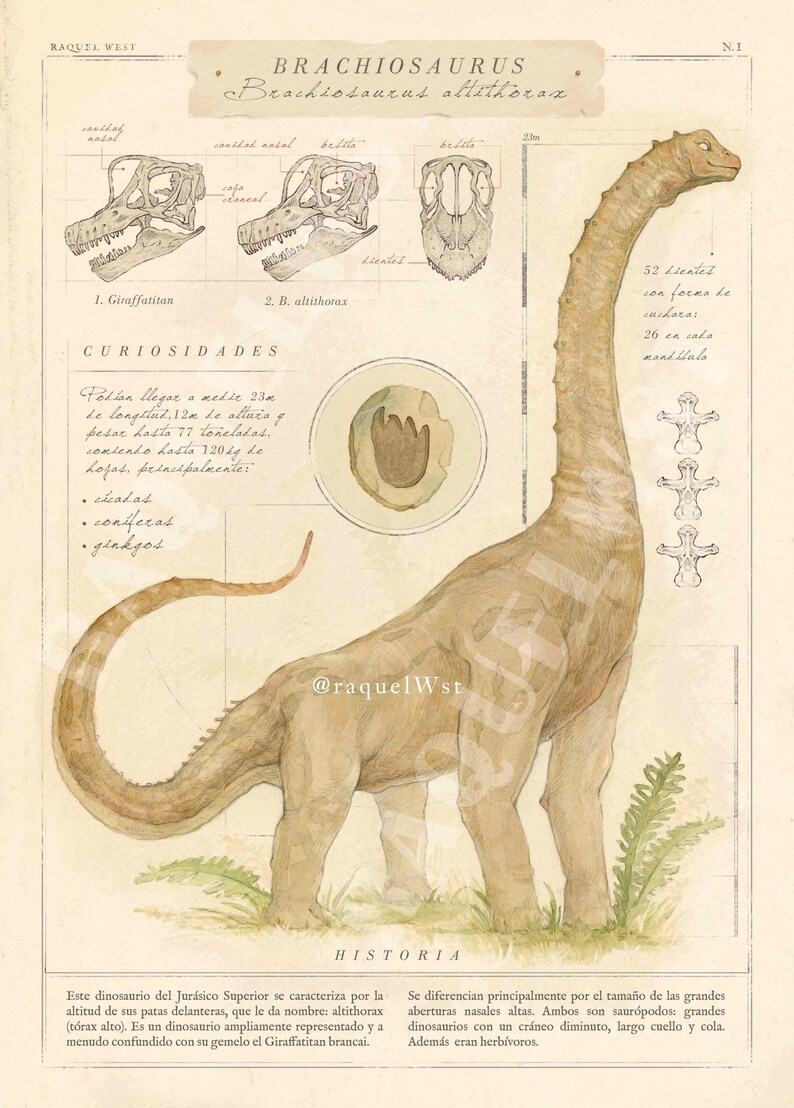 Dinosaur Art Print Etsy Dinosaur Art Print Etsy