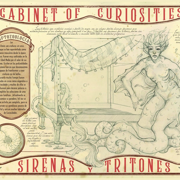 Sirenas y Tritonas