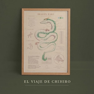 May include: Framed print featuring a detailed illustration of a dragon, labeled "DRAGON HAKU" in the top center. The dragon is depicted in green and white, with anatomical diagrams and text in Spanish. The phrase "EL VIAJE DE CHIHIRO" is at the bottom.