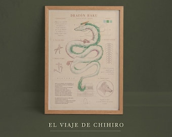 Haku - Spirited Away