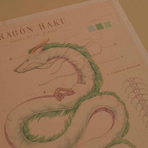 May include: A detailed illustration of a white dragon with green accents, labeled "RAG&Oacute;N HAKU" and "esp&iacute;ritu del r&iacute;o - Kohaku." The artwork includes anatomical diagrams and color swatches, all on a beige paper background.