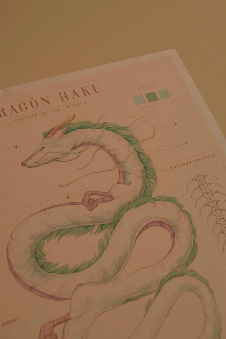 May include: A detailed illustration of a white dragon with green accents, labeled "RAG&Oacute;N HAKU" and "esp&iacute;ritu del r&iacute;o - Kohaku." The artwork includes anatomical diagrams and color swatches, all on a beige paper background.