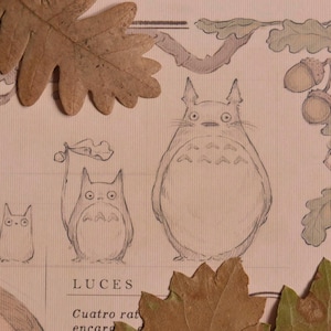 May include: A hand-drawn illustration of three cartoon characters resembling Totoro from the movie My Neighbor Totoro. The characters are drawn in pencil on a light brown paper background. The illustration is surrounded by brown leaves and acorns.