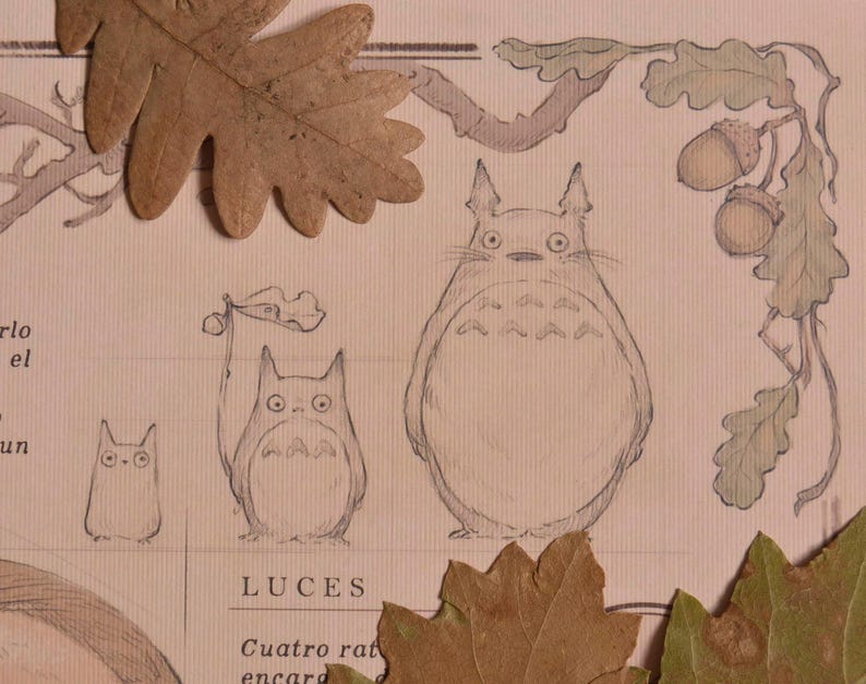 May include: A hand-drawn illustration of three cartoon characters resembling Totoro from the movie My Neighbor Totoro. The characters are drawn in pencil on a light brown paper background. The illustration is surrounded by brown leaves and acorns.