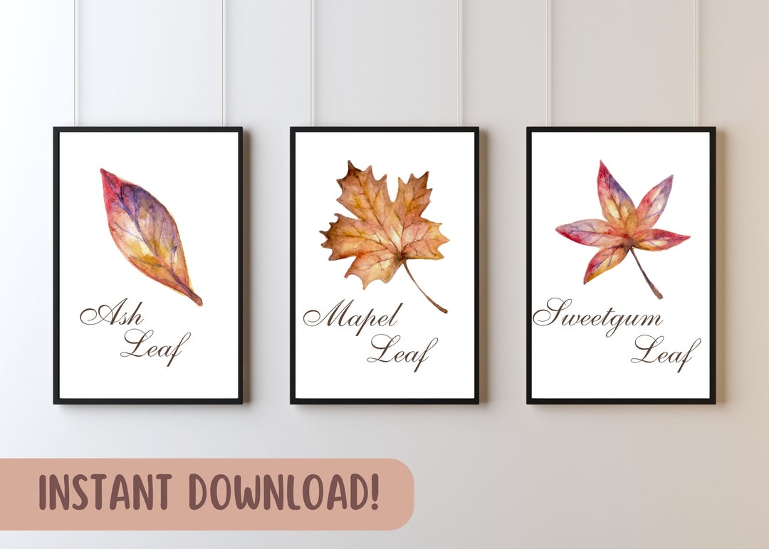 FALL LEAVES WALL Art Set of 3| Watercolor Fall Wall Decor | Gallery ...