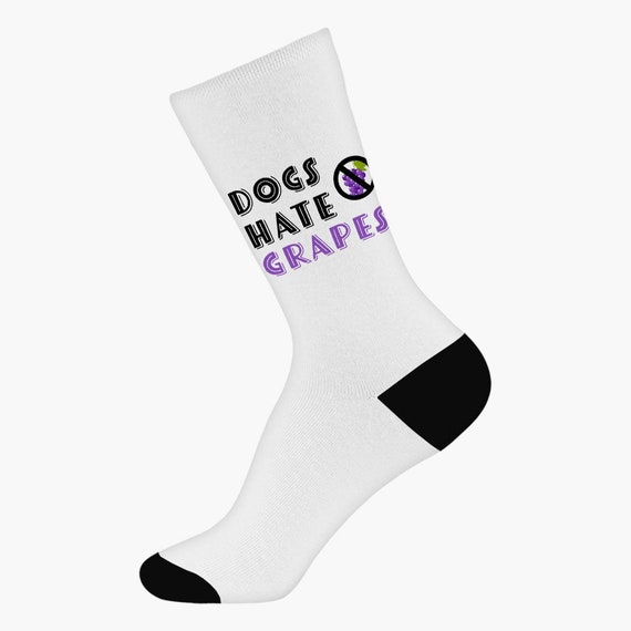 Why Do Dogs Hate Socks