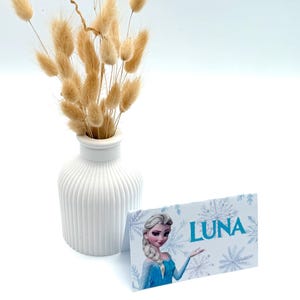 Segnaposto segnaposto decorazione da tavolo personalizzata Elsa Frozen, segnaposto per bambini, compleanno, battesimo, compleanno, matrimonio, Nisan