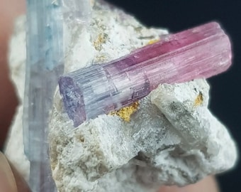 20.3 carats, Tourmaline, specimen, watermelon, bicolor, bi color, green, pink, red,  rubellite, natural, raw, crystals, Matrix, rare