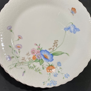 Vintage Mikasa Bone China Dinner Plates - Set of 7