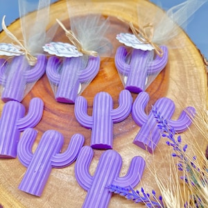 Cactus Soap favors baby shower favors, Mexican fiesta party decoration Bridal Shower Favor, Cinco de Mayo favors, hispanic party decoration