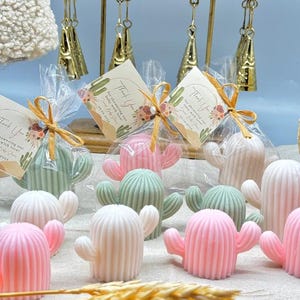 Big Sage Cactus Soap favors baby shower favors,  Mexican fiesta party , Cinco de Mayo favors, Bachelorette Bridesmaid Wedding Theme Gifts