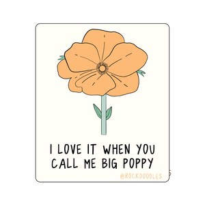 Big Poppy (2-Pack) Punny Air Freshener - Hawaiian Plumeria Scent