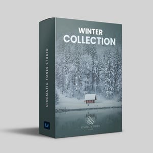 50+ Winter presets bundle for Lightroom mobile & desktop, cozy warm presets for winter, winter filters, snow presets, holiday presets