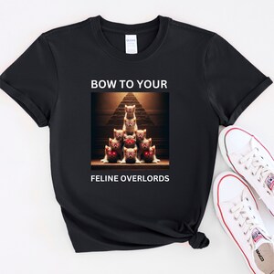 Funny unhinged cat tshirt, Cat lover shirts that go hard, Kittens dank meme tee, Gift for cat lovers, Weird Gen Z shirt