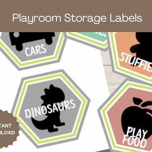 Hexagon Toy Storage Labels: Playroom Organization (PDF)