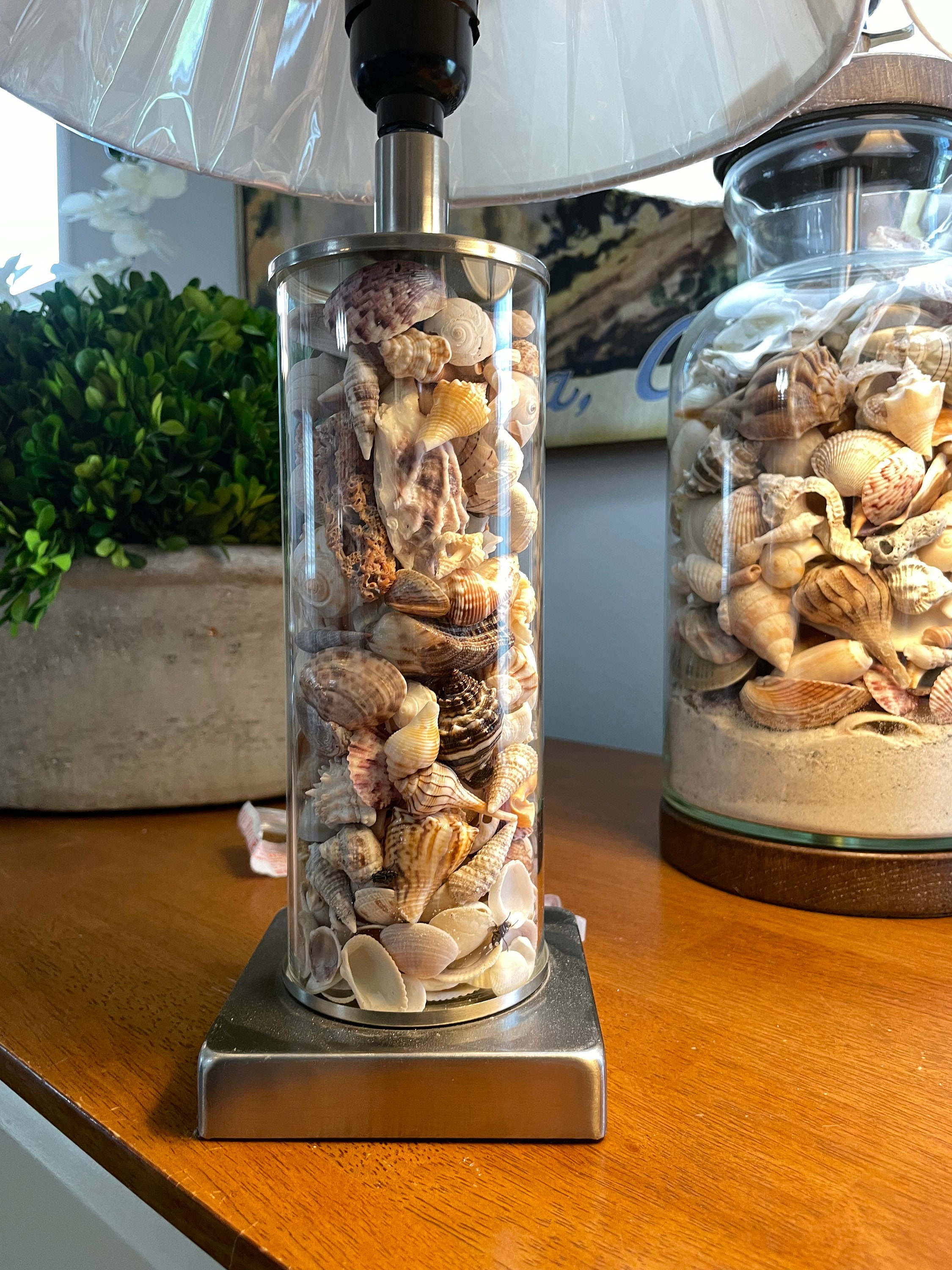 Shell filled sale lamp