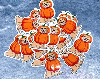 Pumpkin Golden Retriever Dog Sticker