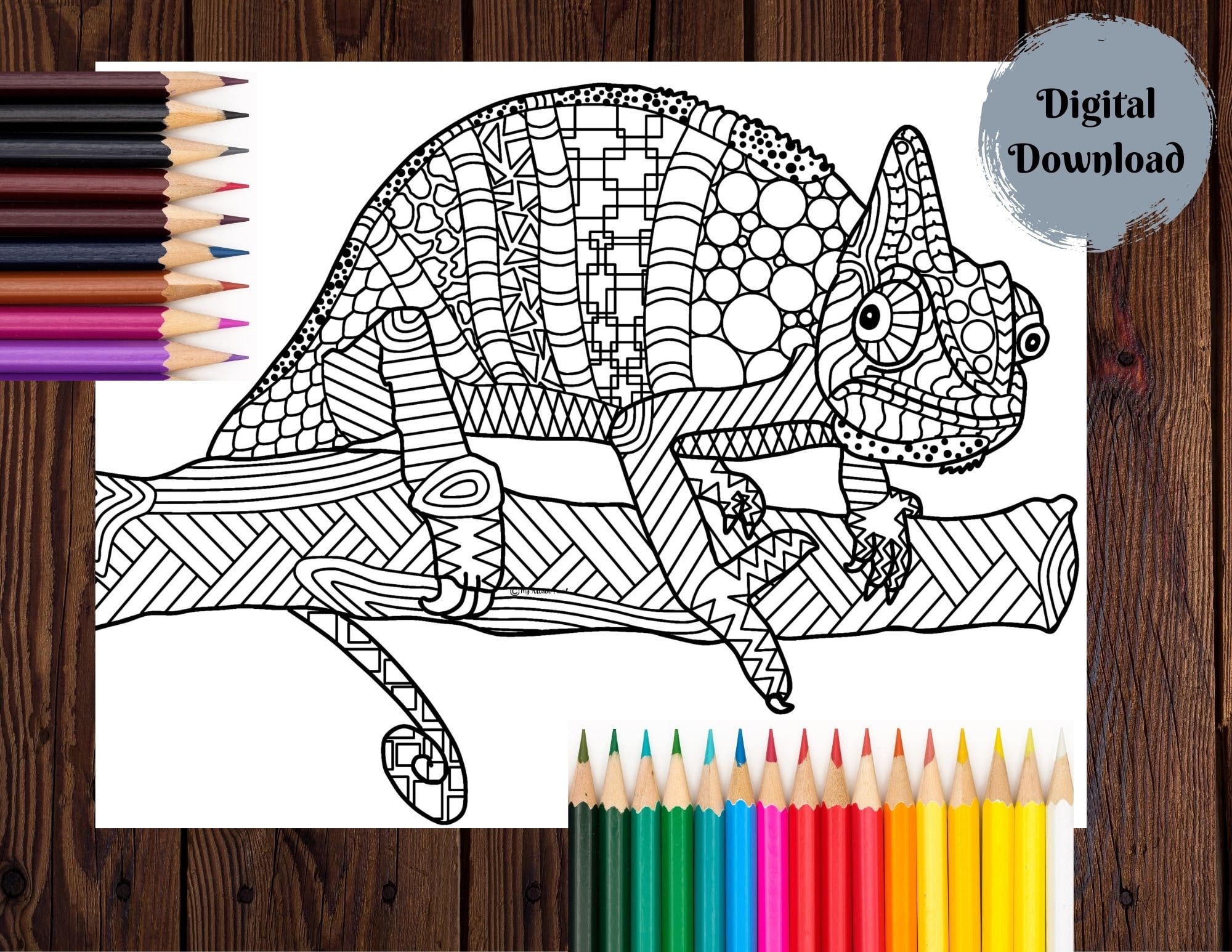 Chameleon Colour and Blending System Marker Pen and Color Tops 
