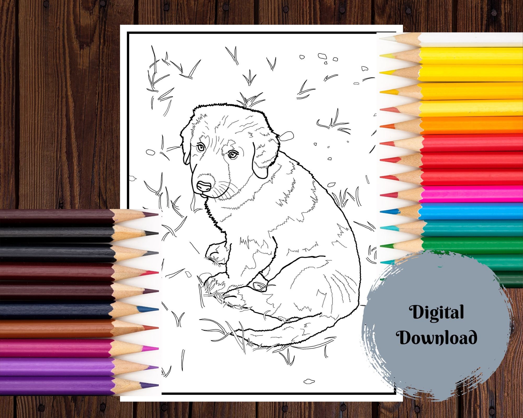 Download Realistic Cute Dog Coloring Pages To Enjoy Your Free Time