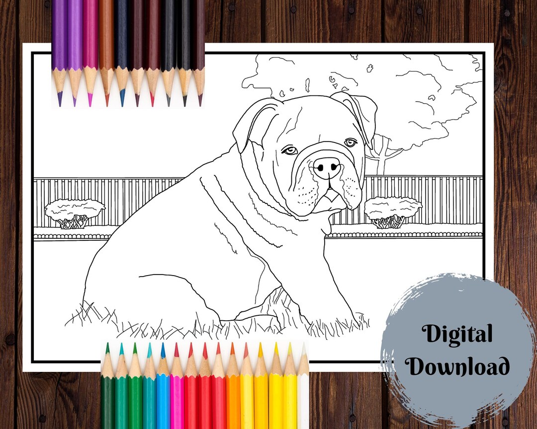Realistic Puppy Coloring Page English Bulldog Coloring Page - Etsy
