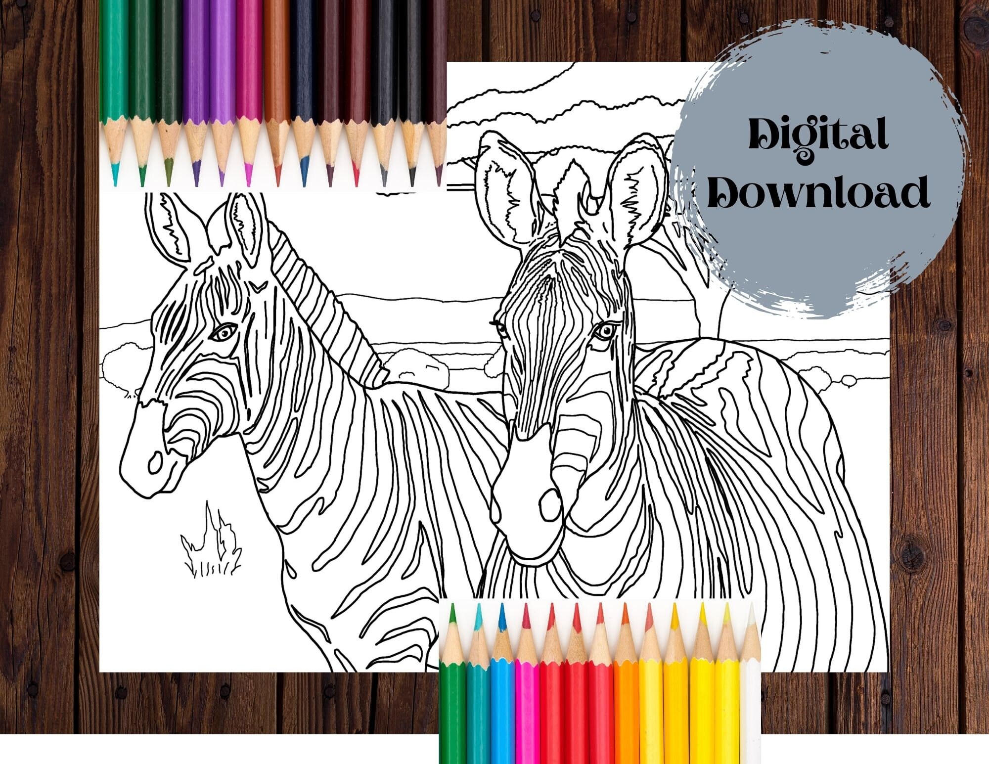 Printable Realistic Zebra Coloring Page Animal Coloring Etsy