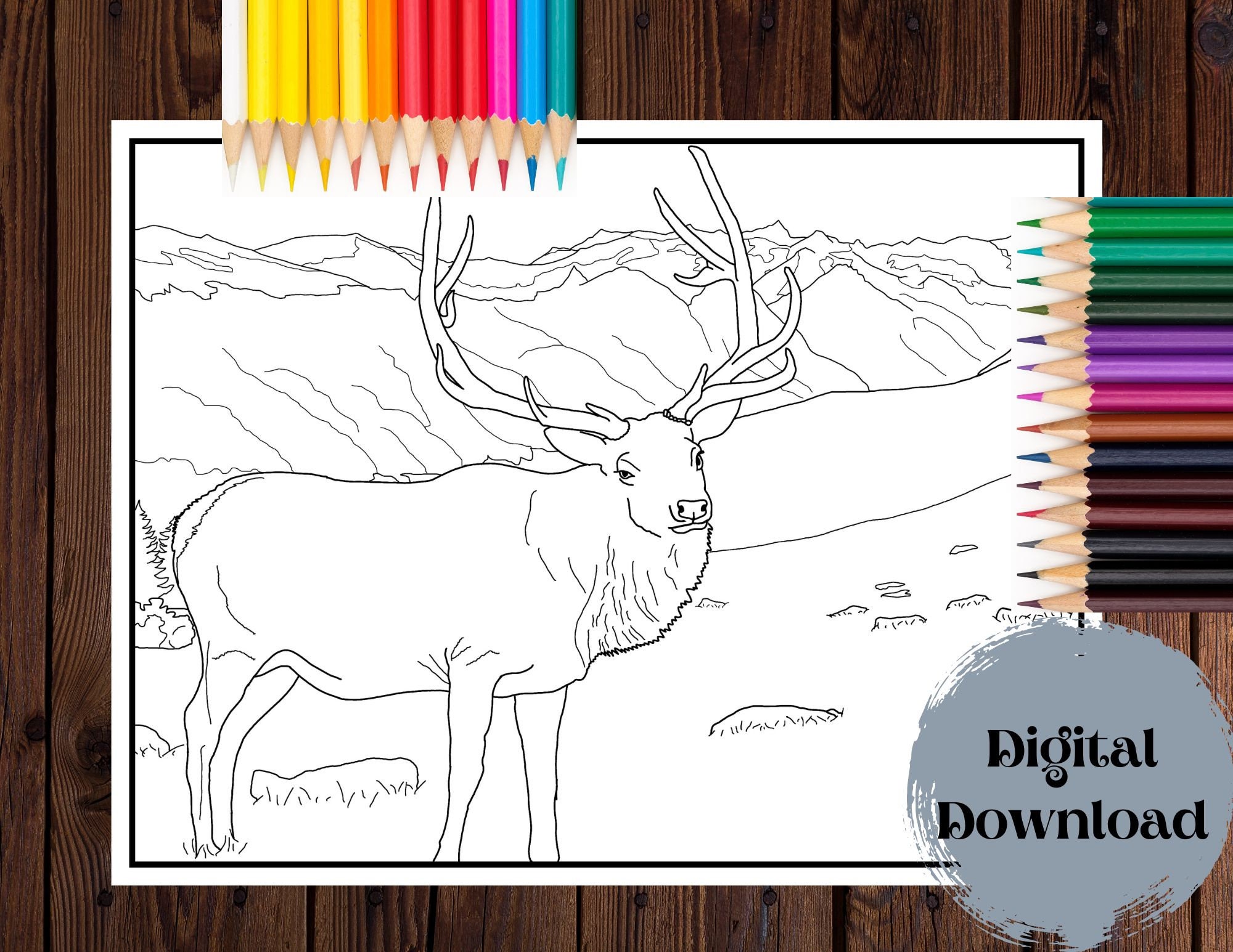 Realistic Elk Coloring Pages