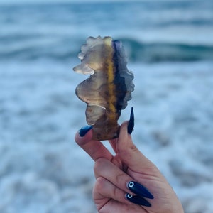 HQ Rainbow Fluorite Seahorse Selfstanding Carving *High Quality Rainbow Yellow Purple Blue Fluorite Tear Drop Statue Shape Natural Crystal*