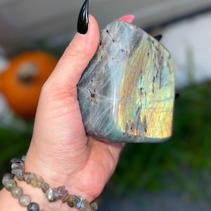 Large Labradorite Freeform *High Quality, Natural Flashy Labradorite Standing Freeform*