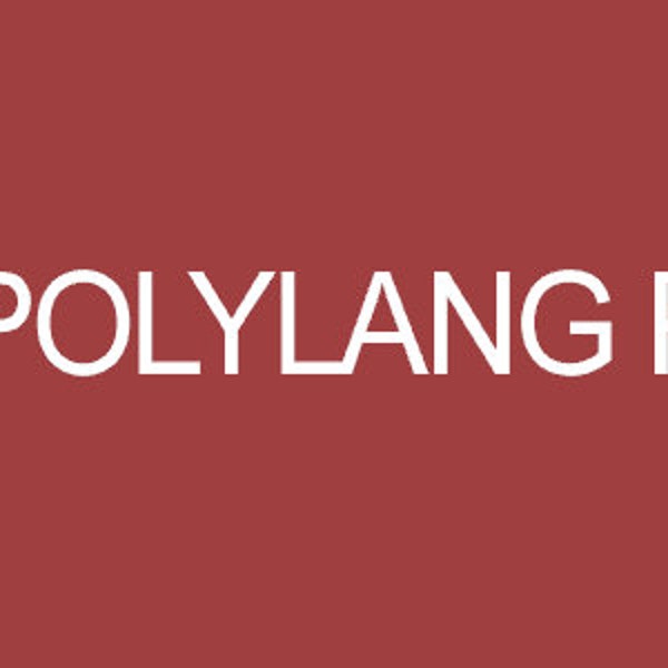 Polylang Pro v3.4.2  - Multilingual Plugin