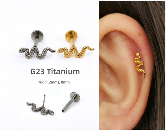 Titanium 2024 16g earrings
