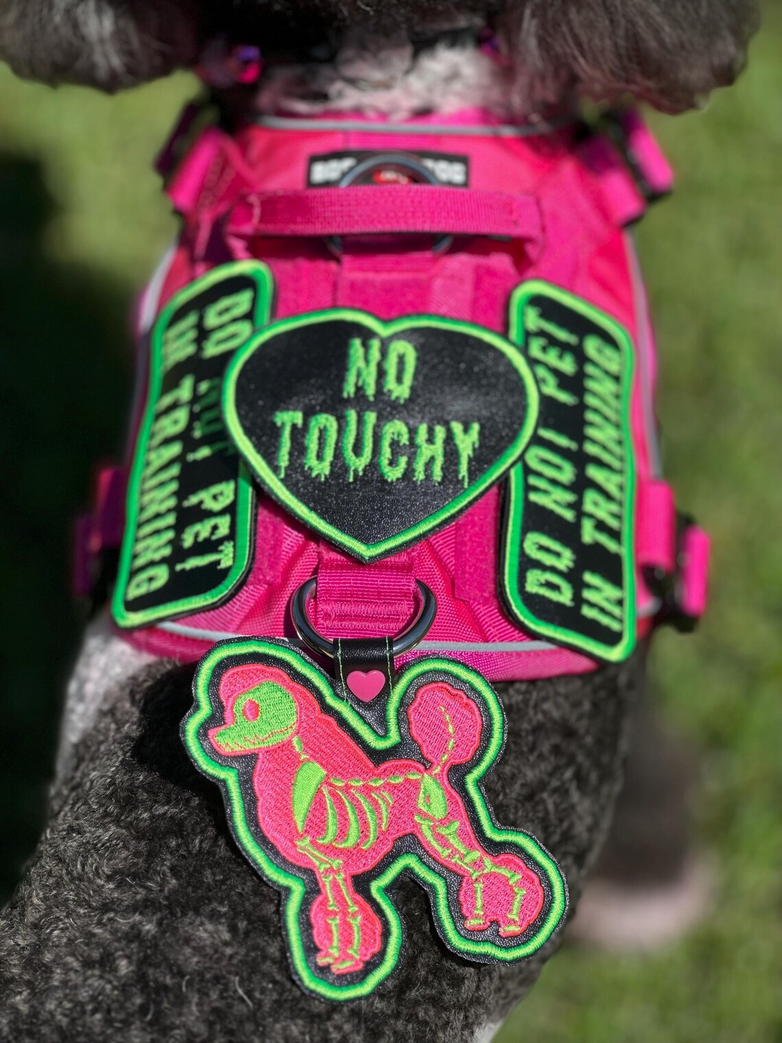 Customized Harness Sticker Paper Custom Dog Harness Patches - Etsy