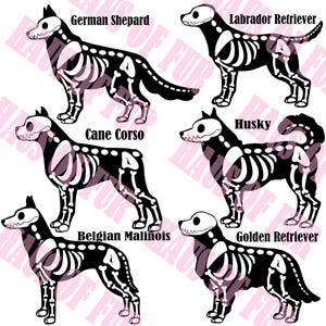 May include: A graphic illustration featuring six black dog silhouettes with white skeletal overlays. The breeds labeled are German Shepard, Labrador Retriever, Cane Corso, Husky, Belgian Malinois, and Golden Retriever. The text HAUS OF FUR repeats in the background.