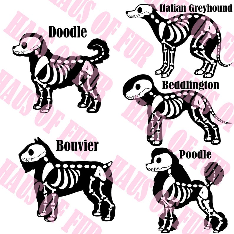 May include: A graphic illustration featuring five black dog silhouettes with white skeletal structures overlaid. The dogs are labeled Doodle, Italian Greyhound, Bedlington, Bouvier, and Poodle. The background contains repeating light pink text.