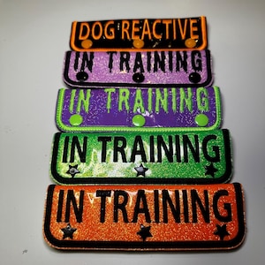 Customizable holographic leash wraps